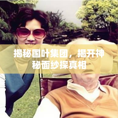 揭秘国叶集团，揭开神秘面纱探真相