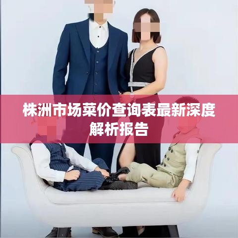 株洲市场菜价查询表最新深度解析报告