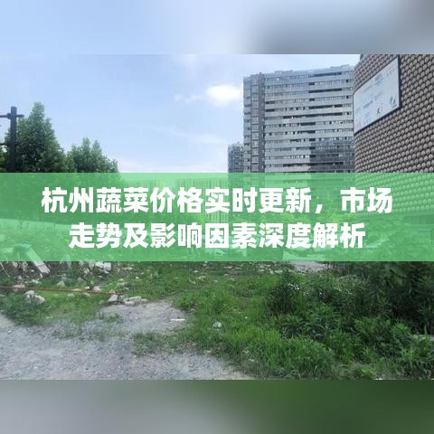 杭州蔬菜价格实时更新，市场走势及影响因素深度解析