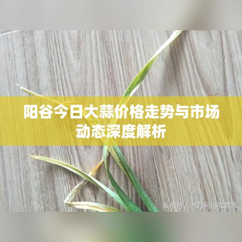 阳谷今日大蒜价格走势与市场动态深度解析