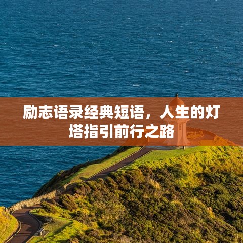 地老天荒 第8页