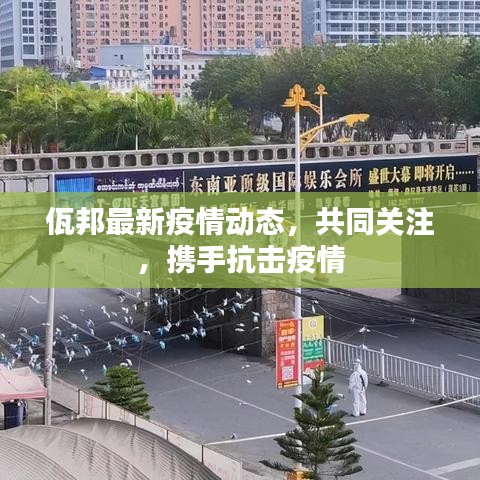 佤邦最新疫情动态，共同关注，携手抗击疫情