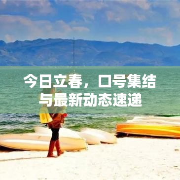 今日立春,口号集结与最新动态速递