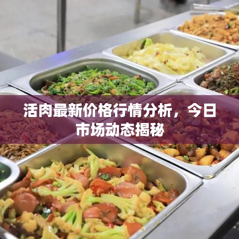 活肉最新价格行情分析,今日市场动态揭秘