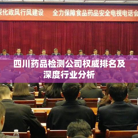 四川药品检测公司权威排名及深度行业分析