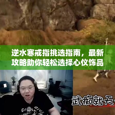 逆水寒戒指挑选指南，最新攻略助你轻松选择心仪饰品