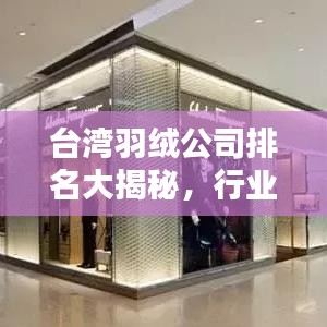 台湾羽绒公司排名大揭秘,行业领军者榜单全解析