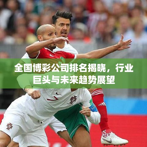 全国博彩公司排名揭晓，行业巨头与未来趋势展望