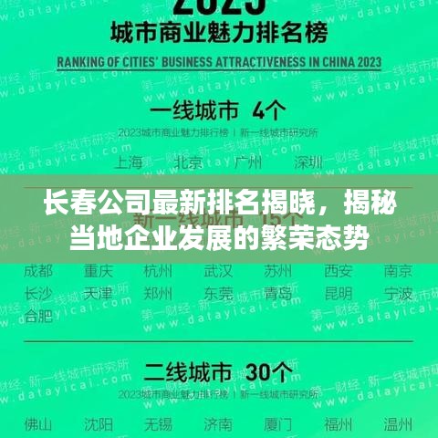 长春公司最新排名揭晓，揭秘当地企业发展的繁荣态势