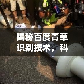 揭秘百度青草识别技术，科技与自然的无缝融合之道