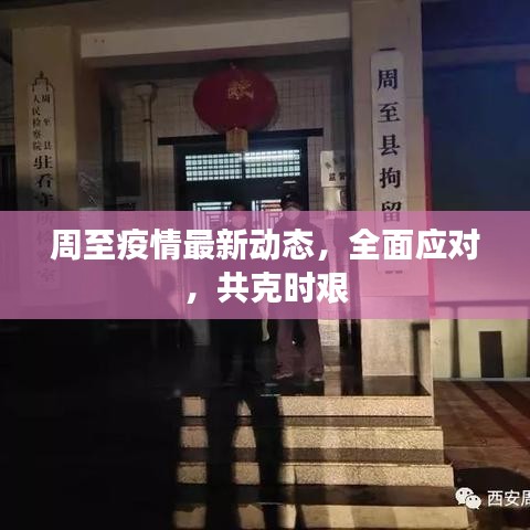 周至疫情最新动态，全面应对，共克时艰