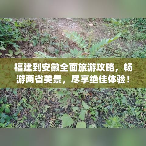 福建到安徽全面旅游攻略，畅游两省美景，尽享绝佳体验！
