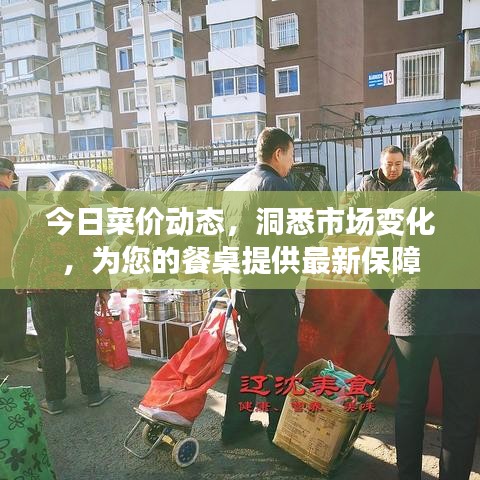 今日菜价动态，洞悉市场变化，为您的餐桌提供最新保障