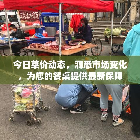 今日菜价动态,洞悉市场变化,为您的餐桌提供最新保障