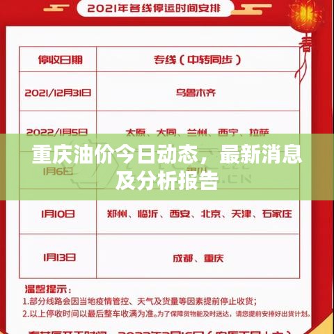 重庆油价今日动态,最新消息及分析报告