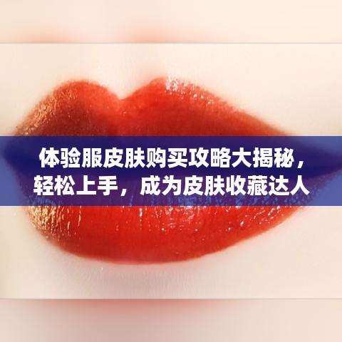 体验服皮肤购买攻略大揭秘,轻松上手,成为皮肤收藏达人!