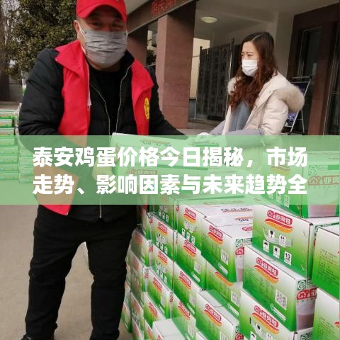 泰安鸡蛋价格今日揭秘,市场走势、影响因素与未来趋势全面解析