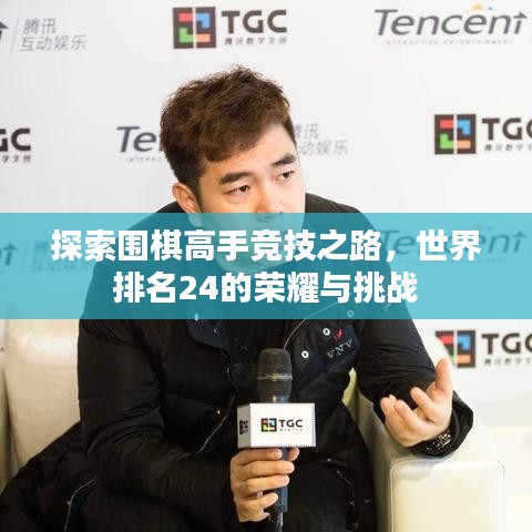 探索围棋高手竞技之路，世界排名24的荣耀与挑战