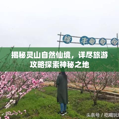 揭秘灵山自然仙境，详尽旅游攻略探索神秘之地