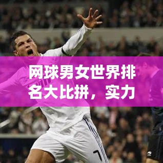 网球男女世界排名大比拼，实力比拼的舞台