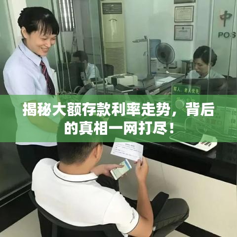 揭秘大额存款利率走势，背后的真相一网打尽！