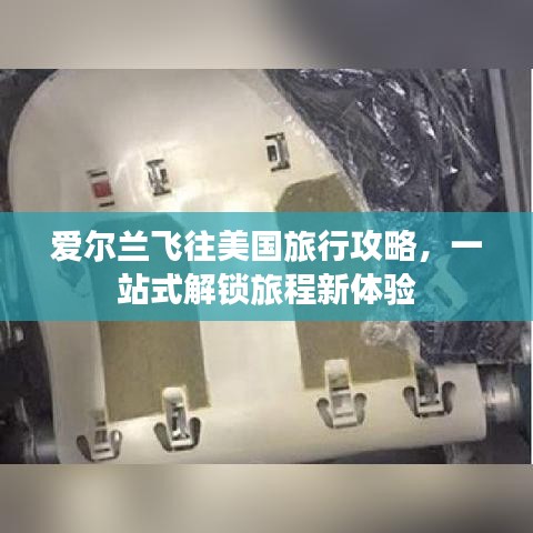 采椽不斫 第8页