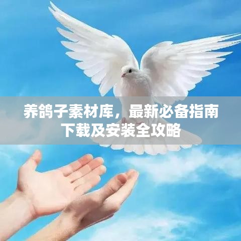 养鸽子素材库，最新必备指南下载及安装全攻略