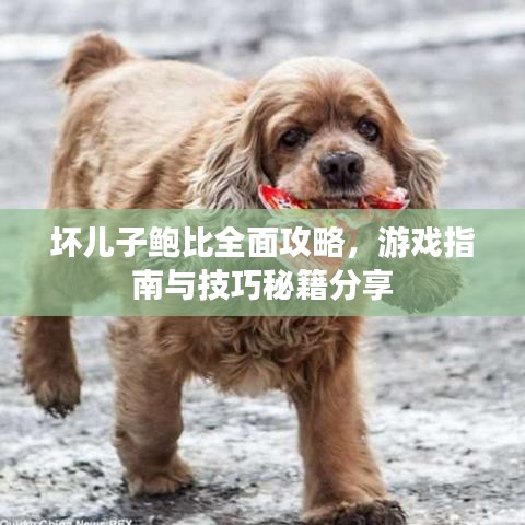 坏儿子鲍比全面攻略，游戏指南与技巧秘籍分享