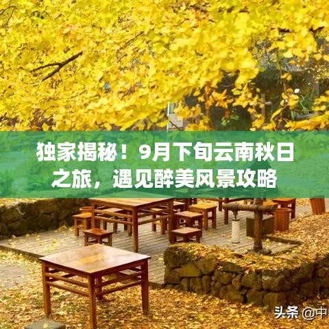独家揭秘！9月下旬云南秋日之旅，遇见醉美风景攻略