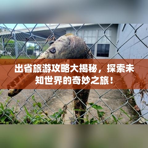 出省旅游攻略大揭秘,探索未知世界的奇妙之旅!