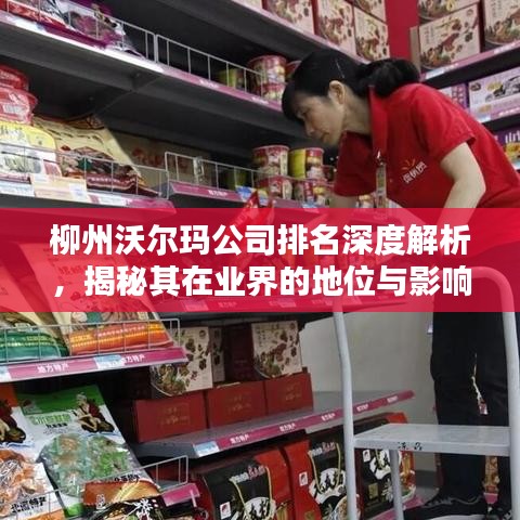 柳州沃尔玛公司排名深度解析，揭秘其在业界的地位与影响力