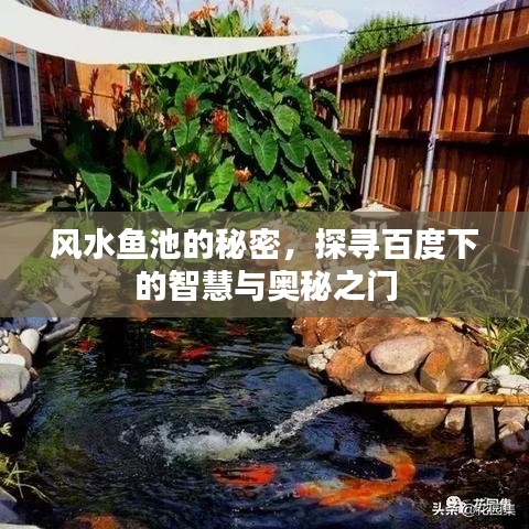 风水鱼池的秘密，探寻百度下的智慧与奥秘之门