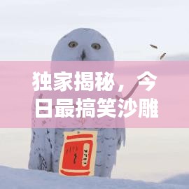 独家揭秘，今日最搞笑沙雕图片，让你笑到肚子疼！