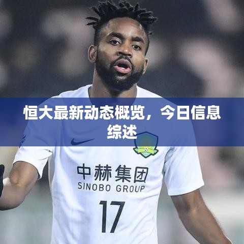 恒大最新动态概览，今日信息综述