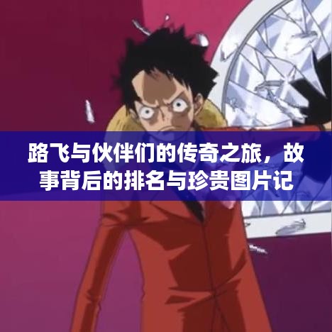 路飞与伙伴们的传奇之旅，故事背后的排名与珍贵图片记录
