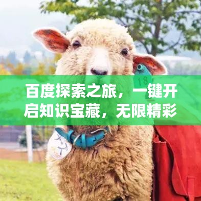 百度探索之旅，一键开启知识宝藏，无限精彩等你发现！