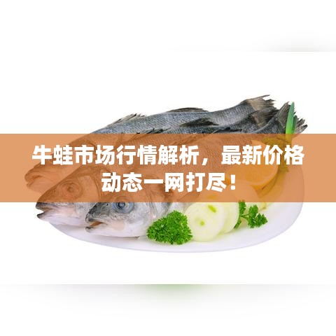 牛蛙市场行情解析，最新价格动态一网打尽！