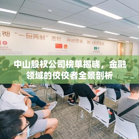 中山股权公司榜单揭晓，金融领域的佼佼者全景剖析