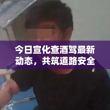 今日宣化查酒驾最新动态，共筑道路安全防线，你我共同责任守护