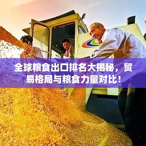 全球粮食出口排名大揭秘，贸易格局与粮食力量对比！