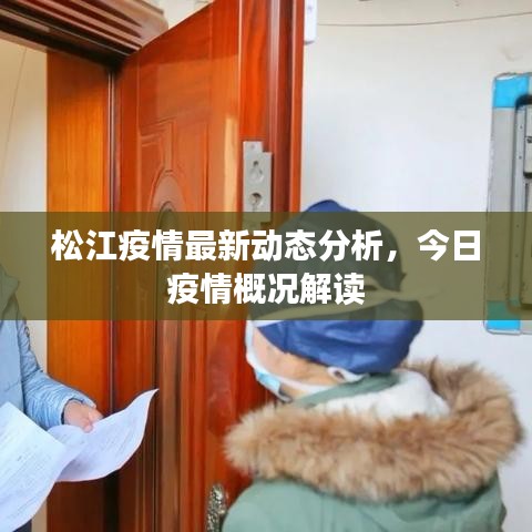 松江疫情最新动态分析，今日疫情概况解读