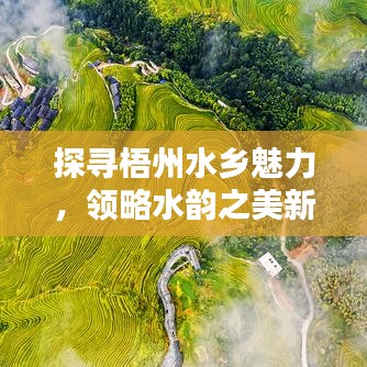 探寻梧州水乡魅力，领略水韵之美新闻头条