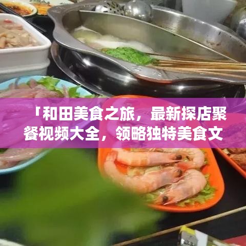 「和田美食之旅,最新探店聚餐视频大全,领略独特美食文化」