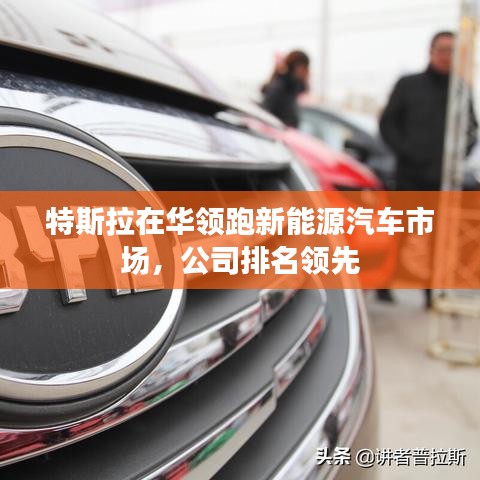 特斯拉在华领跑新能源汽车市场,公司排名领先