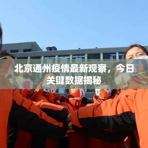 北京通州疫情最新观察，今日关键数据揭秘