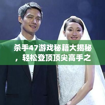 杀手47游戏秘籍大揭秘，轻松登顶顶尖高手之路！