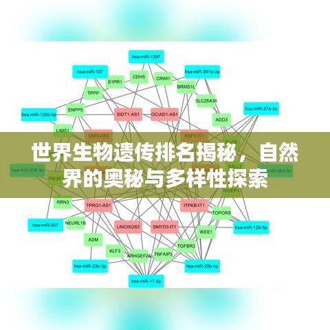 世界生物遗传排名揭秘，自然界的奥秘与多样性探索
