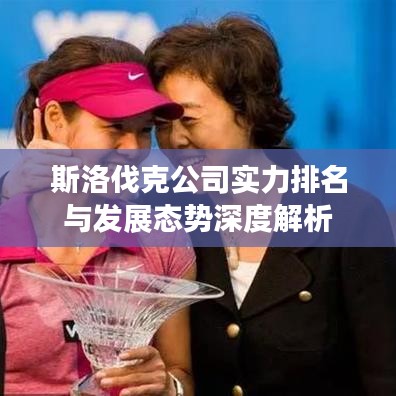 斯洛伐克公司实力排名与发展态势深度解析