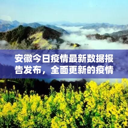 安徽今日疫情最新数据报告发布，全面更新的疫情动态分析