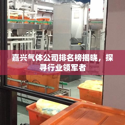 嘉兴气体公司排名榜揭晓，探寻行业领军者